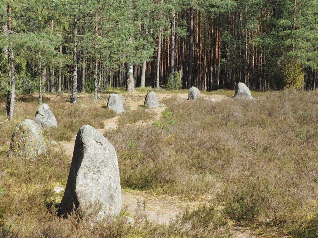 Kamienne kręgi w Grzybnicy, w tle las (kliknięcie spowoduje powiększenie zdjęcia).