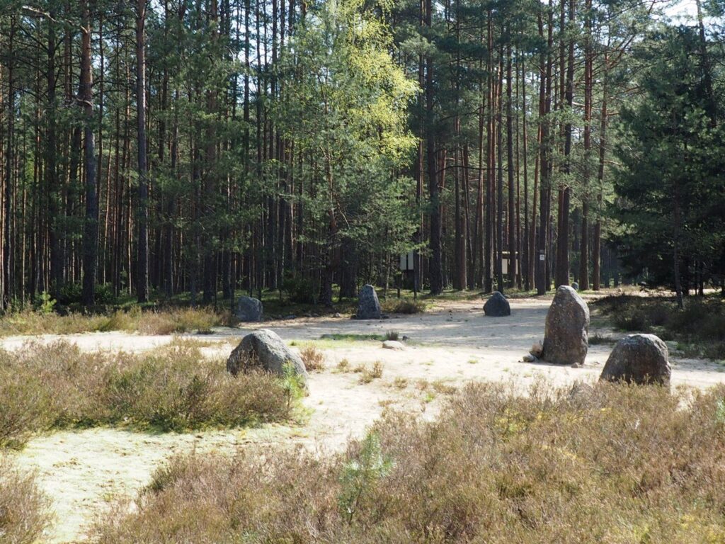 Kamienne kręgi w Grzybnicy, w tle las. (kliknięcie spowoduje powiększenie zdjęcia).